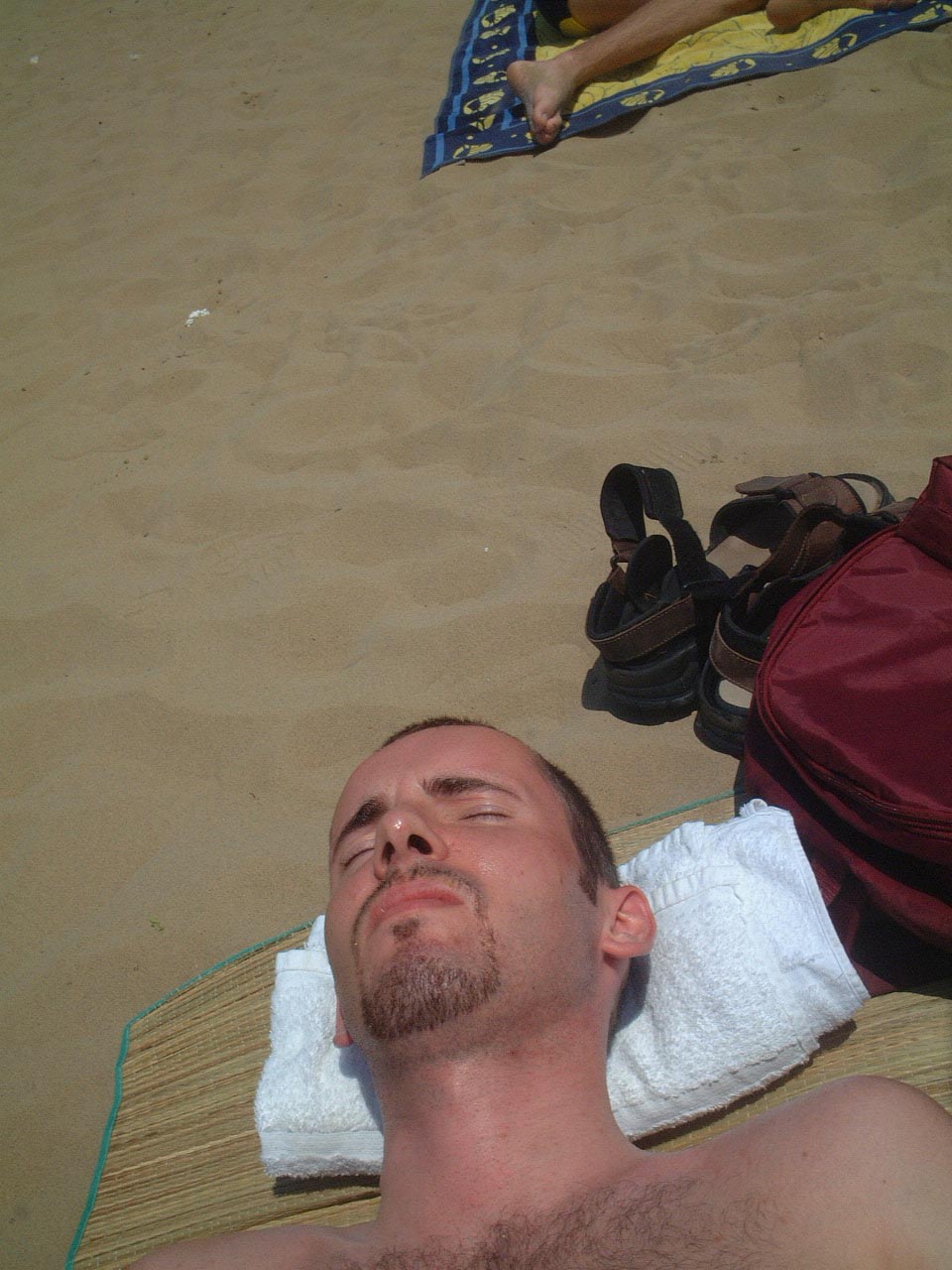 lass die sonne rein.jpg