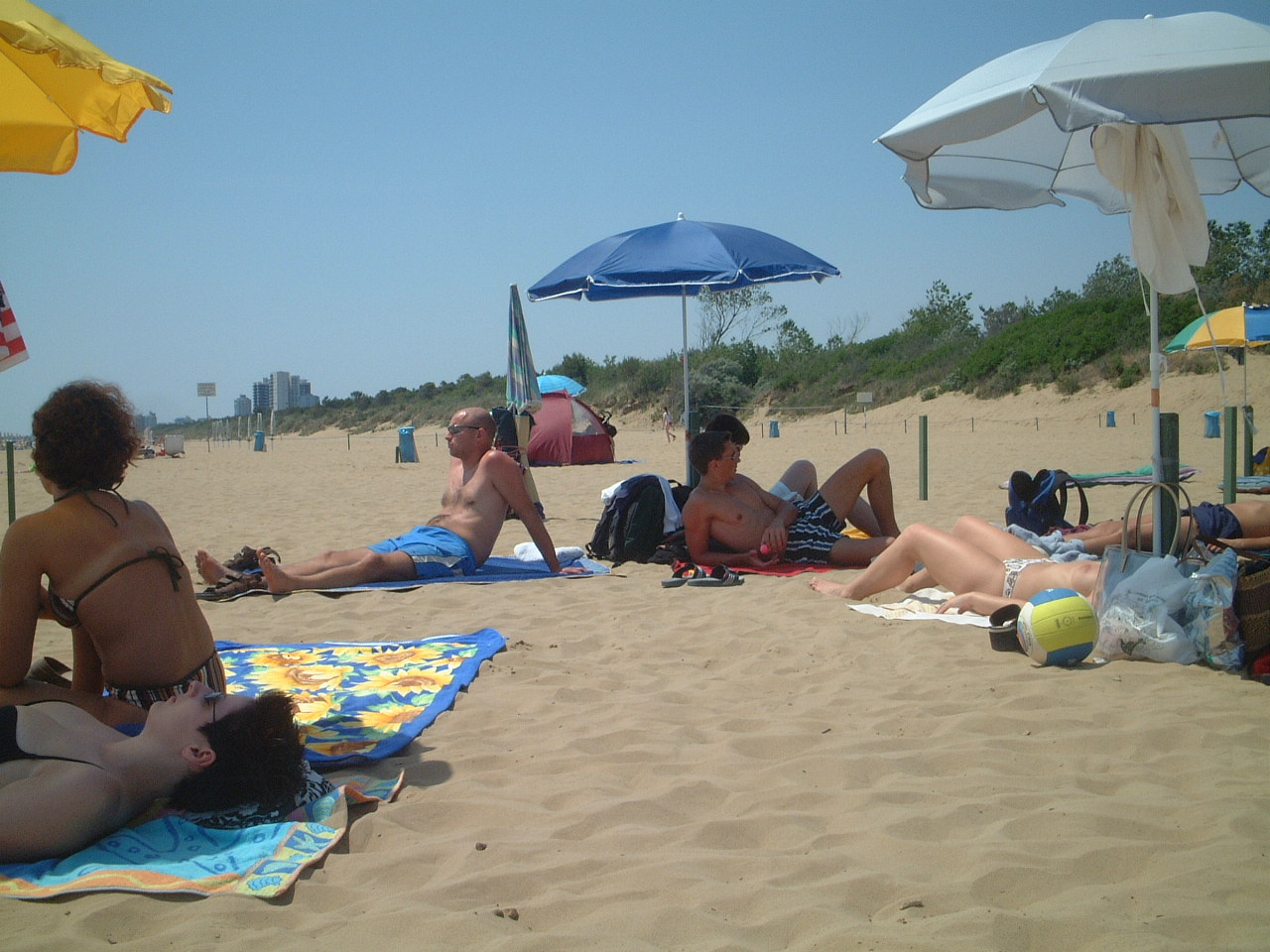 strand1.jpg