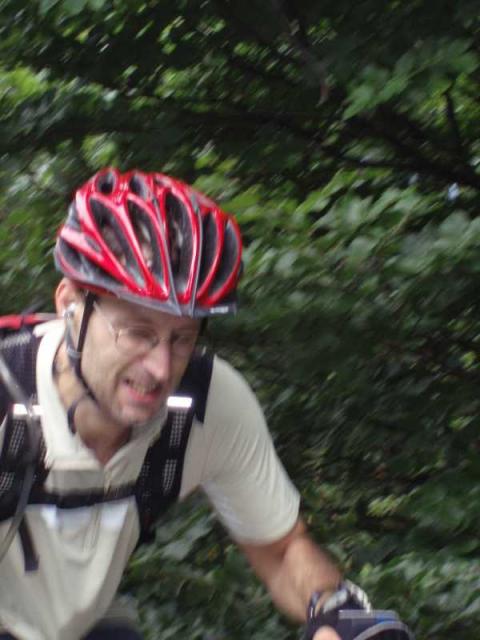 46.jpg