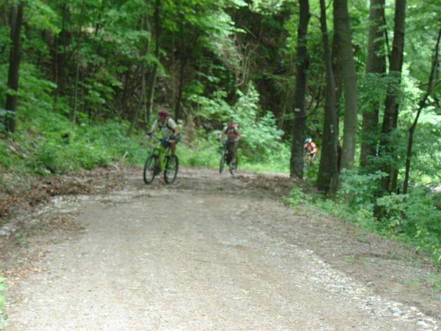 DSC06957 (Custom).JPG