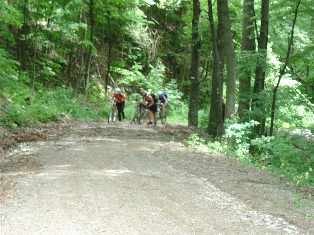 DSC06964 (Custom).JPG