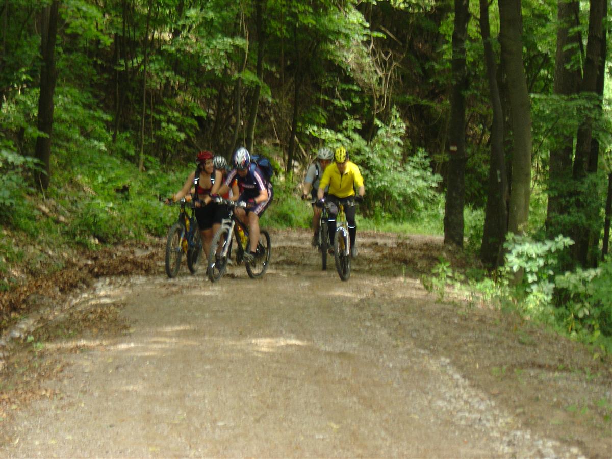 DSC06970 (Custom).JPG