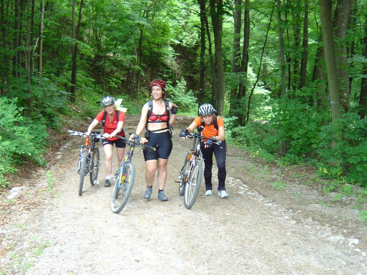 DSC06974 (Custom).JPG