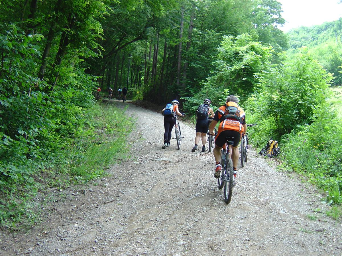 DSC06980 (Custom).JPG