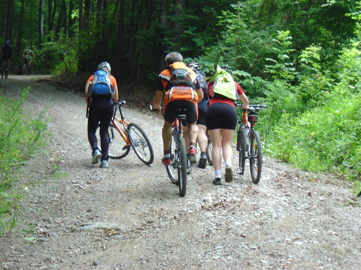 DSC06981 (Custom).JPG