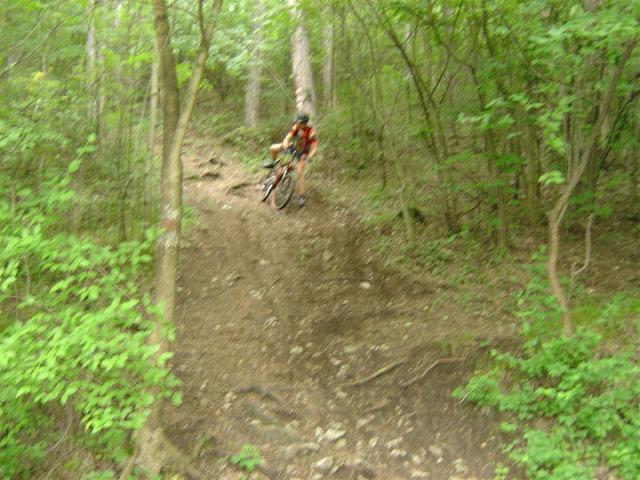 DSC06999 (Custom).JPG