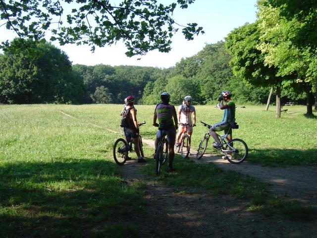 DSC07004 (Custom).JPG