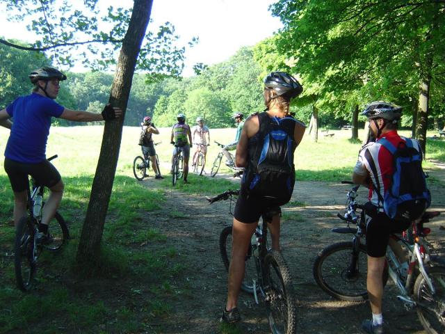 DSC07011 (Custom).JPG