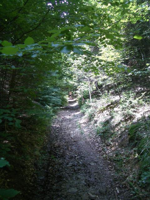IMGP1740.JPG