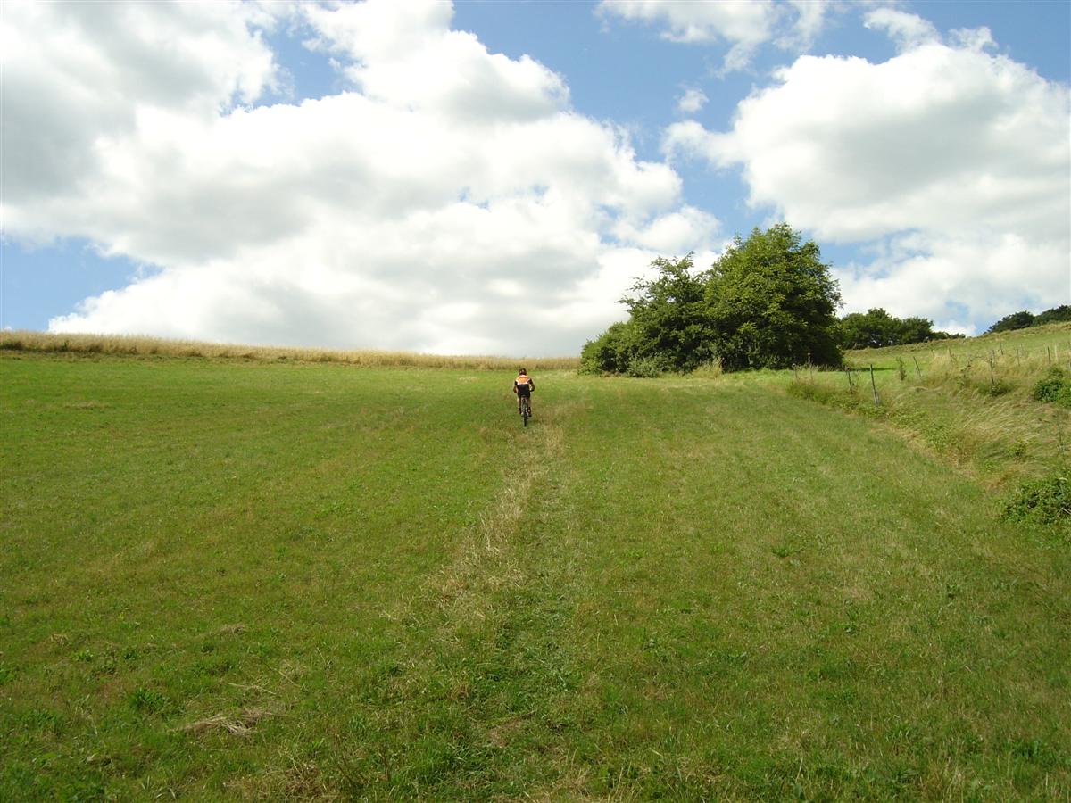 DSC07092 (Custom).JPG