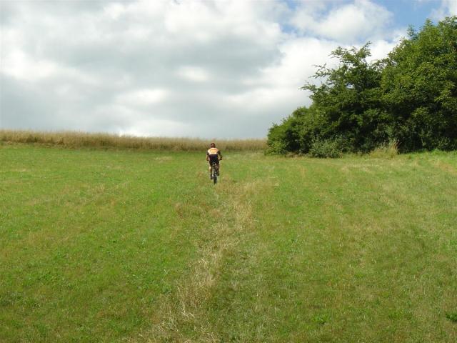 DSC07093 (Custom).JPG