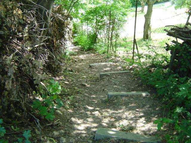 DSC07094 (Custom).JPG