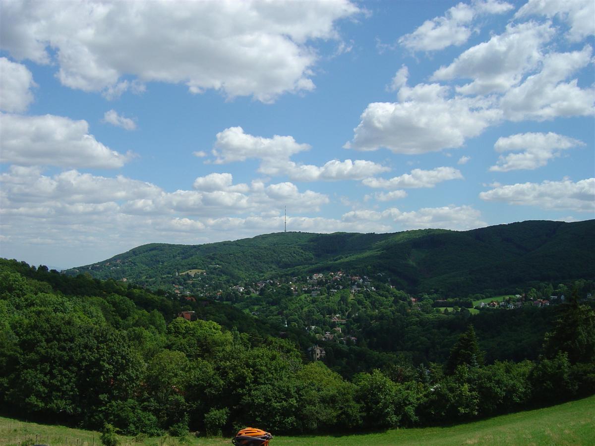 DSC07098 (Custom).JPG