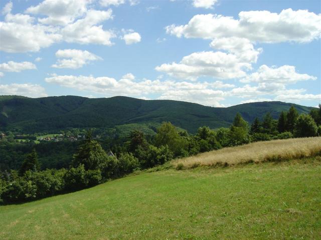 DSC07099 (Custom).JPG