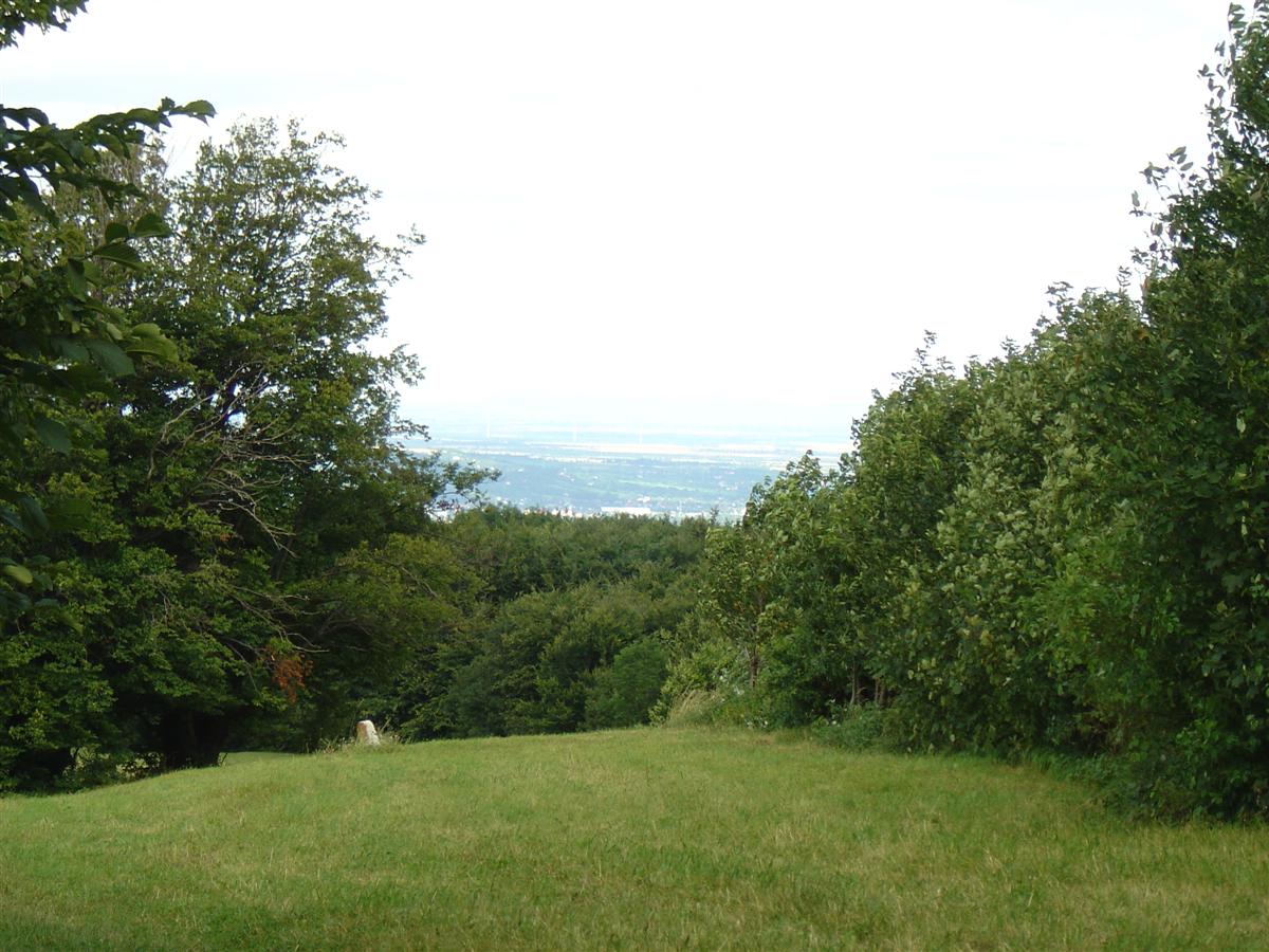 DSC07105 (Custom).JPG