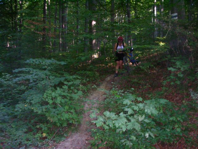 willka.ausf, 027.jpg