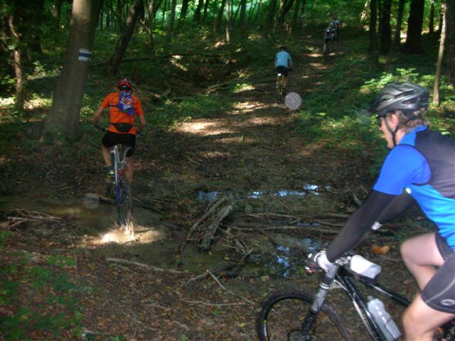 willka.ausf, 030.jpg