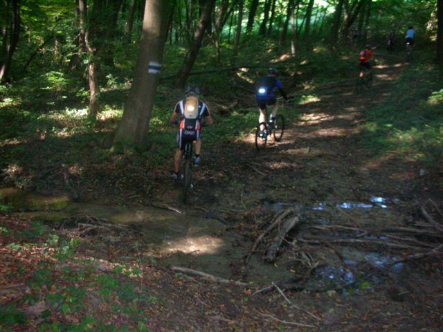 willka.ausf, 031.jpg