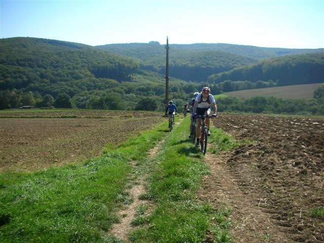 willka.ausf, 035.jpg