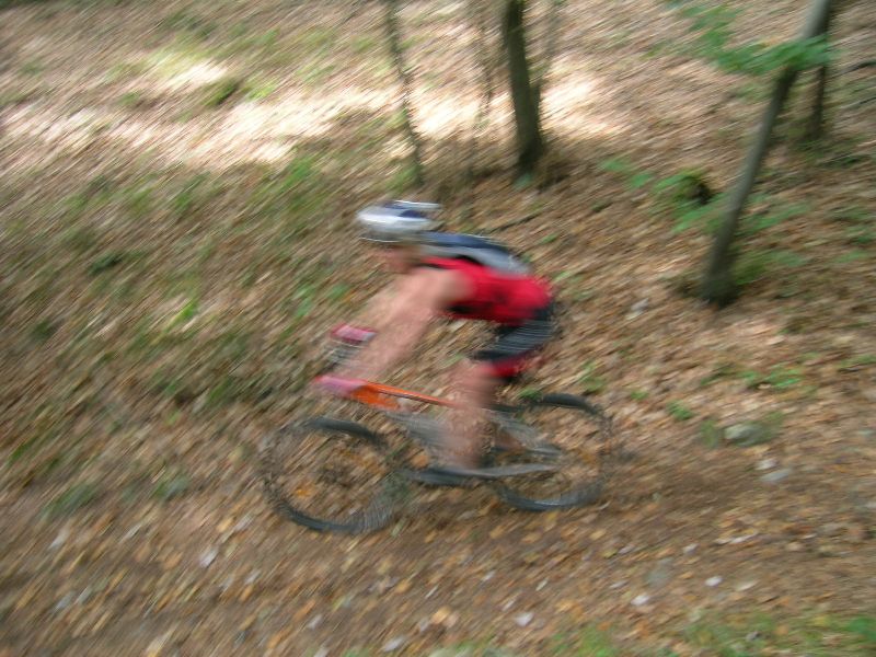 Harzberg 1.10.06-I 013-fast Ceela.jpg