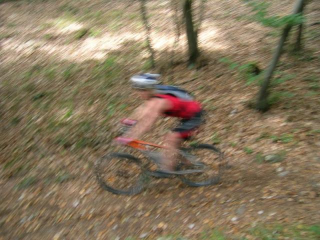 Harzberg 1.10.06-I 013-fast Ceela.jpg