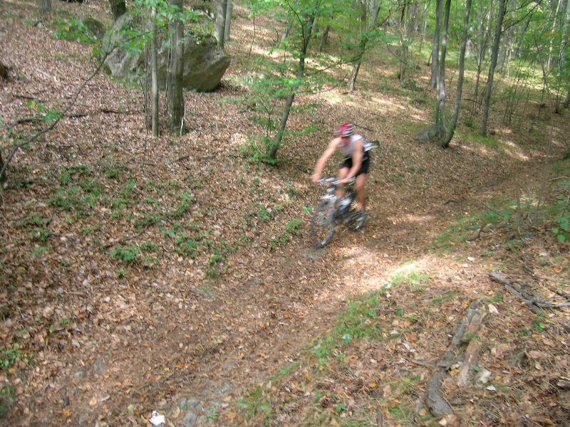 Harzberg 1.10.06-I 015-hpower.jpg