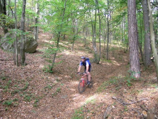 Harzberg 1.10.06-I 020.jpg