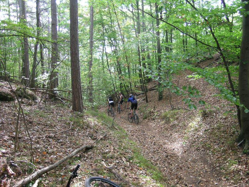 Harzberg 1.10.06-I 022-im Wald.jpg