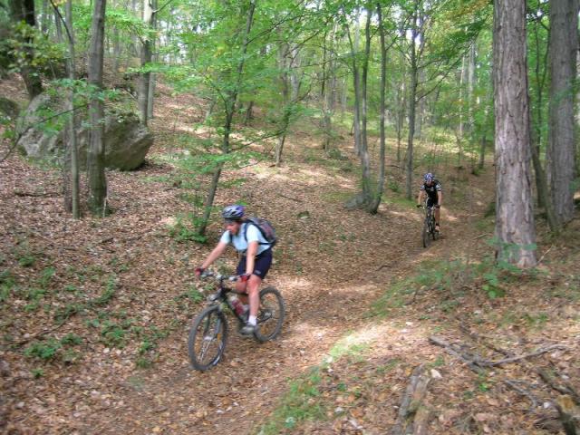 Harzberg 1.10.06-I 027.jpg