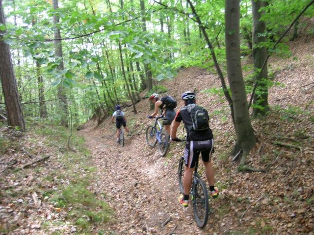 Harzberg 1.10.06-I 028.jpg