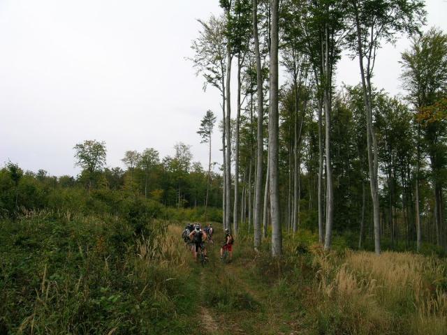 Harzberg 1.10.06-I 032.jpg
