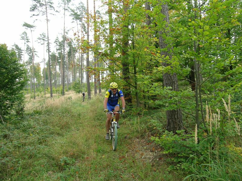 Harzberg 1.10.06-I 035-HeJo.jpg