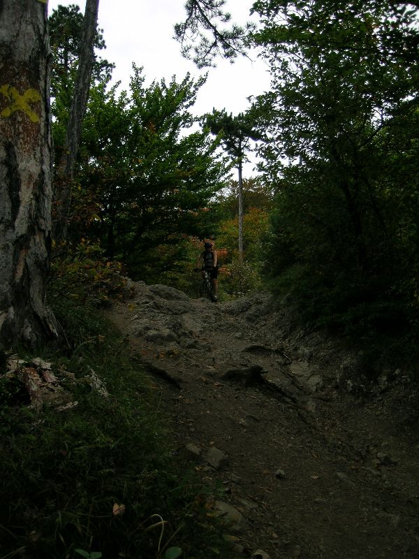 Harzberg 1.10.06-II 012-Eiserne Hand-Fr4nz.jpg