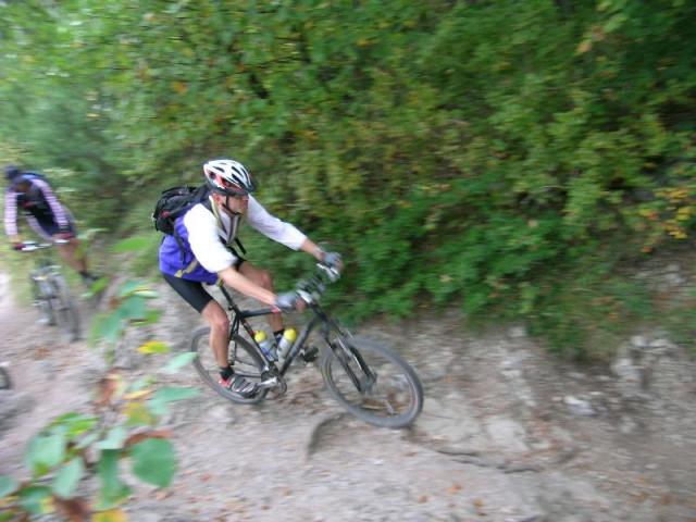 Harzberg 1.10.06-II 014.jpg