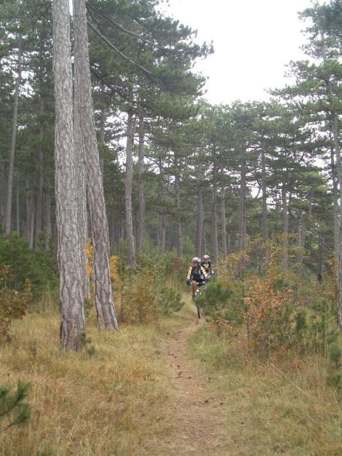 IMGP2086.JPG