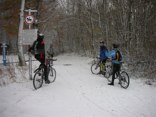 siegis büdln 030.jpg