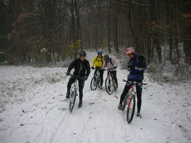 siegis büdln 032.jpg