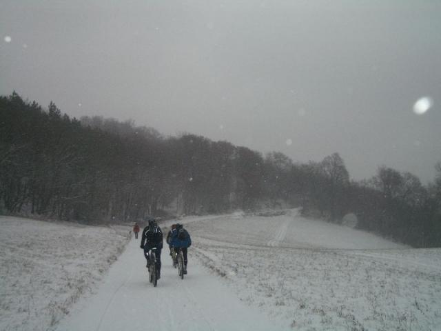 IMGP2121.JPG