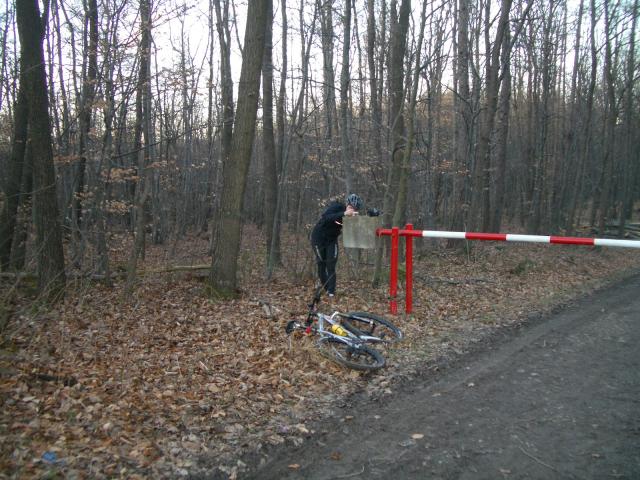 IMGP2360.JPG