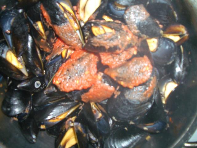 IMGP1278.JPG