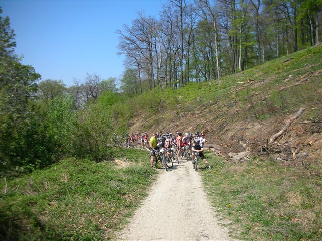 14.4 057 (2).jpg