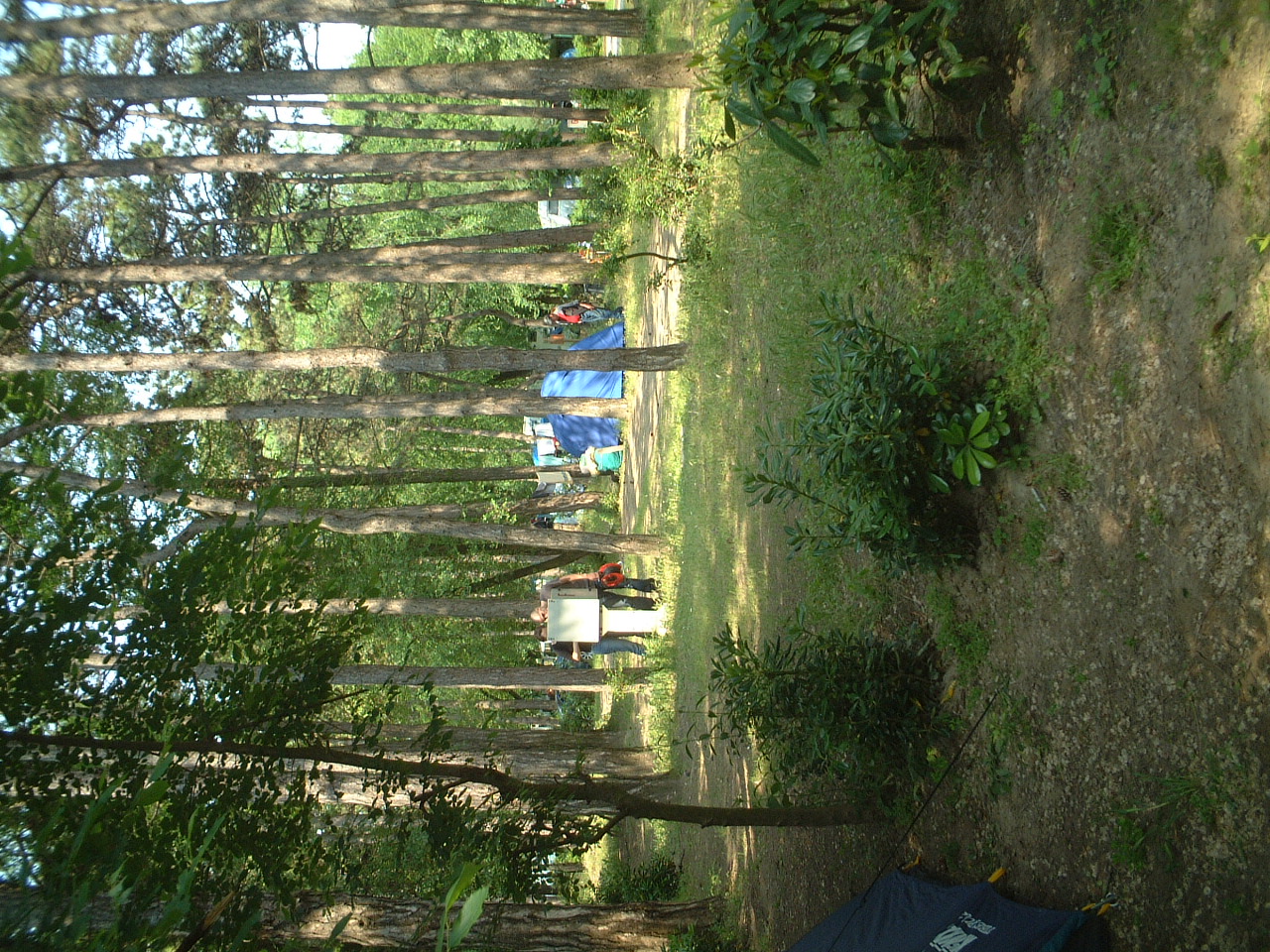 DSCF0042.JPG