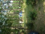 DSCF0042.JPG